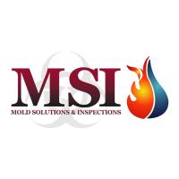Mold Solutions & Inspections image 1